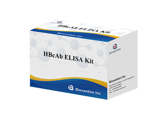 مجموعة اختبار HBcAb ELISA مجموعة اكتشاف الأجسام المضادة النوعية