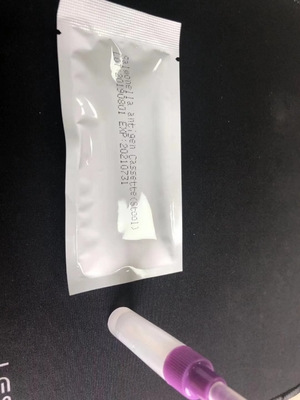 كيسة الاختبار السريع لـ Salmonella IgG/IgM S.Typhoid Kit اختبار تشخيصي سهل الاستخدام