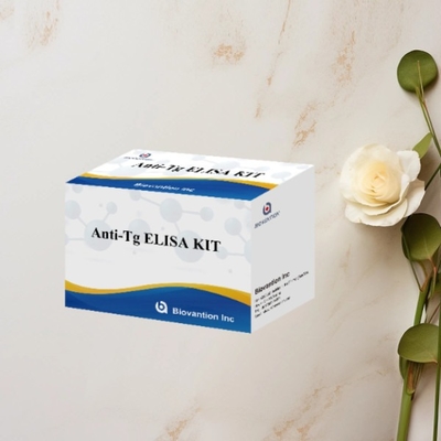 مجموعة اختبار ELISA لمكافحة Tg Thyroglobulin Ab in Vitro