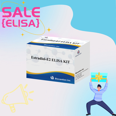 سعر المصنع E2 مجموعة اختبار ELISA في الكشف عن المختبر الكشف الطبي الدقة العالية
