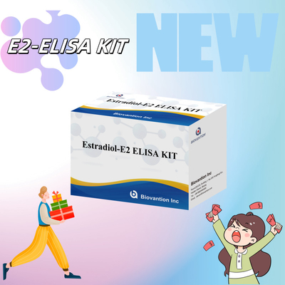 سعر المصنع E2 مجموعة اختبار ELISA في الكشف عن المختبر الكشف الطبي الدقة العالية