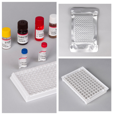 المفاعل IVD HIV Ab Ag Elisa أدوات الاختبار حساسية عالية / خصائص
