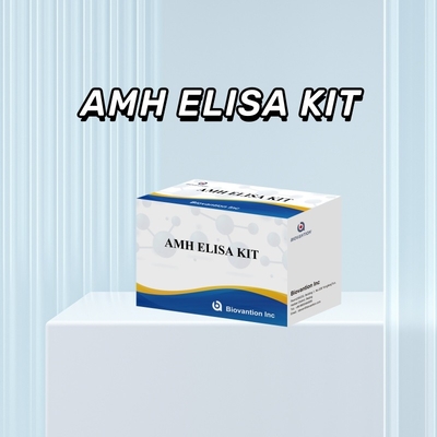 مجموعة اختبار AMH Elisa للكشف عن محلل محدد والكمية في عينات مختلفة
