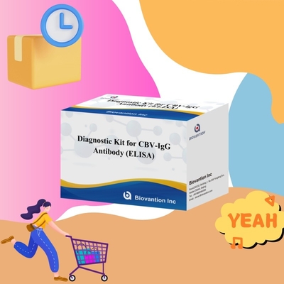 الكميات الكبيرة للكشف عن الأجسام المضادة لـ CBV-IgG