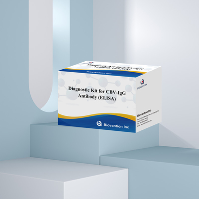 الكميات الكبيرة للكشف عن الأجسام المضادة لـ CBV-IgG