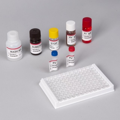 حساسية RV- M Elisa سريعة 2-3 ساعة وقت التحليل لتحقيق نتائج دقيقة