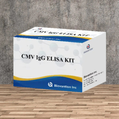 مجموعة اختبار CMV IgG Elisa عالية الدقة للمختبر أو المستشفى