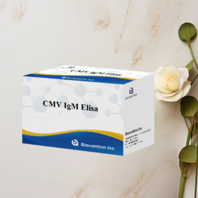 مجموعة إليزا لفيروس CMV IgM دقة عالية اختبار الوقاية للمرأة الحامل