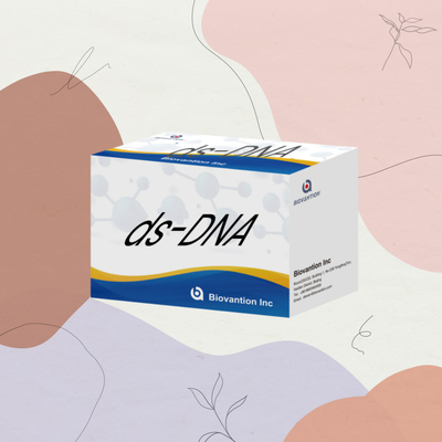 الجهاز التشخيصي البشري الجسم المضاد IgG للحمض النووي المزدوج Ds-DNA اختبار IVD اختبار سريع مع 96 اختبار للاستخدام في المستشفى