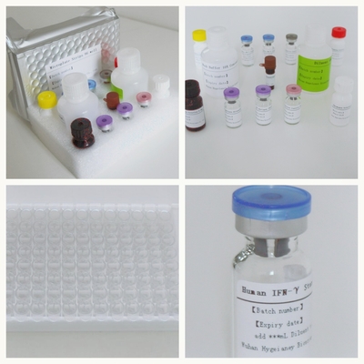 مجموعة اختبار ELISA عالية الأداء للكشف الدقيق والكمية للمحلولات
