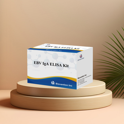 مجموعة اختبار ELISA البشرية لـ EBV 2-8 درجة مئوية مجموعة تشخيص الحساسية لـ IgA الأجسام المضادة لـ EBV-EA