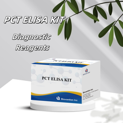 معالجة PCT عالية الدقة لوسيلة ELISA للكشف عن المفاعل البشري مع اختبار 96 للمستشفى