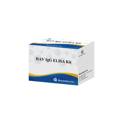 HAV IgG ELISA كيت المفاعل للاختبار 95% الحساسية