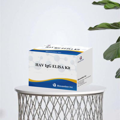 HAV IgG ELISA كيت المفاعل للاختبار 95% الحساسية