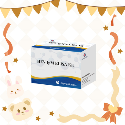 مجموعة اختبار ELISA HEV-IgM الدقيقة والحساسة للكشف الدقيق والتحليل
