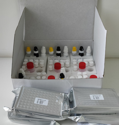 مختبر أو مستشفى مجموعة اختبار H.Pylori IgG Elisa عالية الدقة