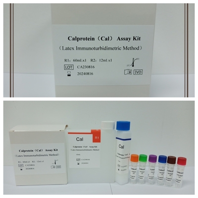 مجموعة اختبار Cal Calprotein Assay الدقيقة للكشف عن الأمراض وإدارتها