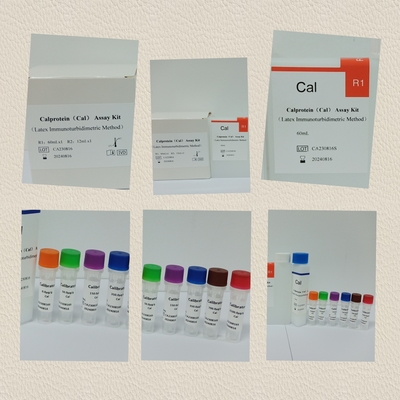 مجموعة اختبار Cal Calprotein Assay الدقيقة للكشف عن الأمراض وإدارتها
