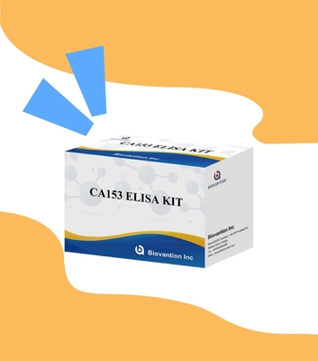 الجرذ CA153 للاستخدام البحثي فقط