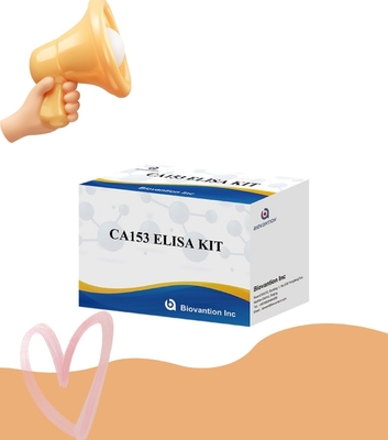 الجرذ CA153 للاستخدام البحثي فقط