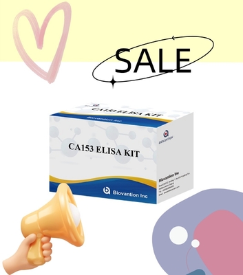 الجرذ CA153 للاستخدام البحثي فقط