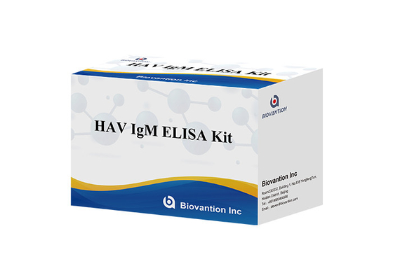 الأجسام المضادة لفيروس التهاب الكبد A HAV IgM In Vitro Enzyme Immunoassay المصل / البلازما