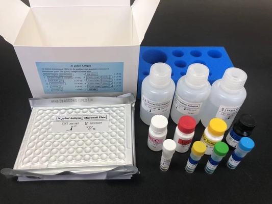 هليكوباكتر HP الأجسام المضادة IgG ELISA Kit H.Pylori IgG