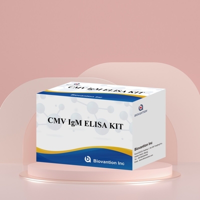 مجموعة المفاعلات CMV ELISA ذات الحساسية العالية لـ Biovantion للكشف عن الأجسام المضادة لفيروسات السيتوميغالو