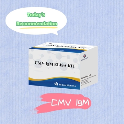 مجموعة المفاعلات CMV ELISA ذات الحساسية العالية لـ Biovantion للكشف عن الأجسام المضادة لفيروسات السيتوميغالو