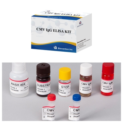 مجموعة المفاعلات CMV ELISA ذات الحساسية العالية لـ Biovantion للكشف عن الأجسام المضادة لفيروسات السيتوميغالو