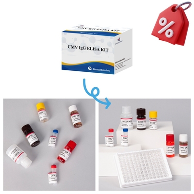 مجموعة المفاعلات CMV ELISA ذات الحساسية العالية لـ Biovantion للكشف عن الأجسام المضادة لفيروسات السيتوميغالو