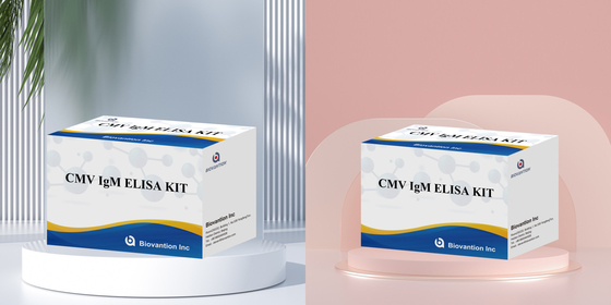 مجموعة المفاعلات CMV ELISA ذات الحساسية العالية لـ Biovantion للكشف عن الأجسام المضادة لفيروسات السيتوميغالو