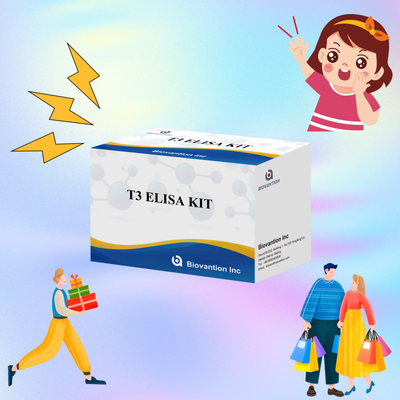 مجموعة اختبار T3 Elisa ذات الخصوصية العالية للكشف الدقيق عن المواد المستهدفة