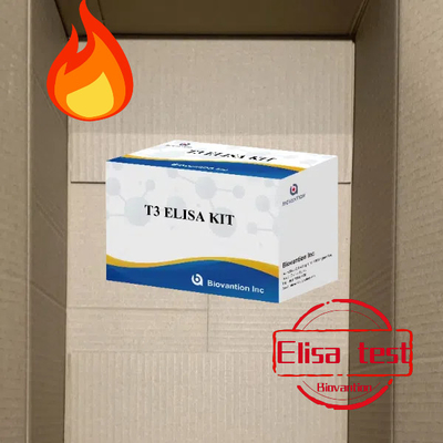 مجموعة اختبار T3 إليزا مستشفى مختبر عيادة T3 Triiodothyronine