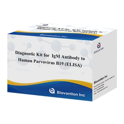 مجموعة التشخيص لـ parvovirus البشري B19 IgM ELISA المضادة للجسم المثالي لـ erythema Infectiosum والمضاعفات في الحمل