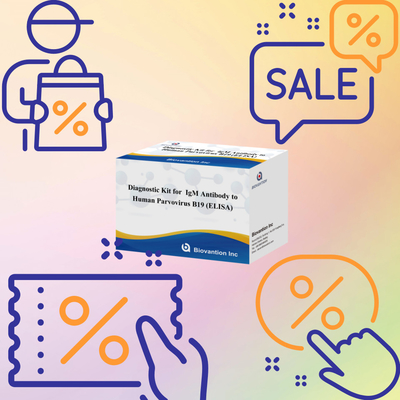 مجموعة التشخيص لـ parvovirus البشري B19 IgM ELISA المضادة للجسم المثالي لـ erythema Infectiosum والمضاعفات في الحمل