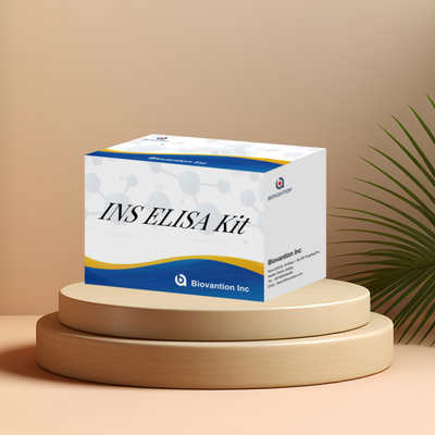 انسولين دقيق و سهل الاستخدام INS 96 اختبار IVd Reagents للتشخيص