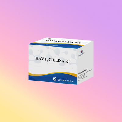 حساسية عالية HAV IgG مجموعة ELISA دقة الكشف عن فيروس التهاب الكبد A موثوقة معتمدة من قبل CE للاستخدام السريري والبحثي