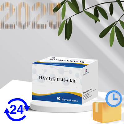 حساسية عالية HAV IgG مجموعة ELISA دقة الكشف عن فيروس التهاب الكبد A موثوقة معتمدة من قبل CE للاستخدام السريري والبحثي