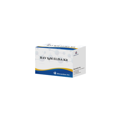 HAV IgM ELISA Kit حساسية عالية التهاب الكبد A الكشف عن الفيروس اختبار تشخيصي دقيق موثوق به للمختبرات السريرية