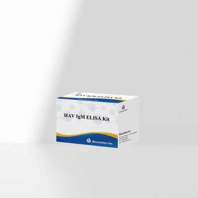 HAV IgM ELISA Kit حساسية عالية التهاب الكبد A الكشف عن الفيروس اختبار تشخيصي دقيق موثوق به للمختبرات السريرية