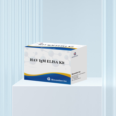HAV IgM ELISA Kit حساسية عالية التهاب الكبد A الكشف عن الفيروس اختبار تشخيصي دقيق موثوق به للمختبرات السريرية