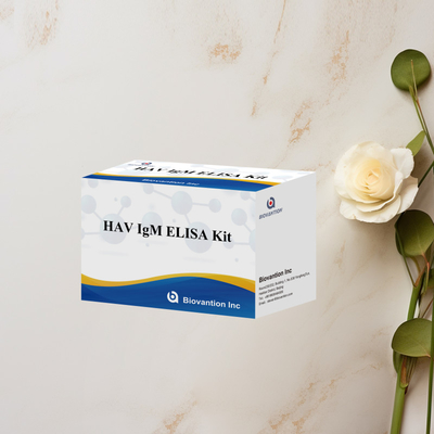 HAV IgM ELISA Kit حساسية عالية التهاب الكبد A الكشف عن الفيروس اختبار تشخيصي دقيق موثوق به للمختبرات السريرية
