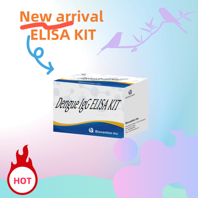 مجموعة اختبار الدينغو IgG Elisa عالية الأداء للحصول على نتائج حساسة ومحددة