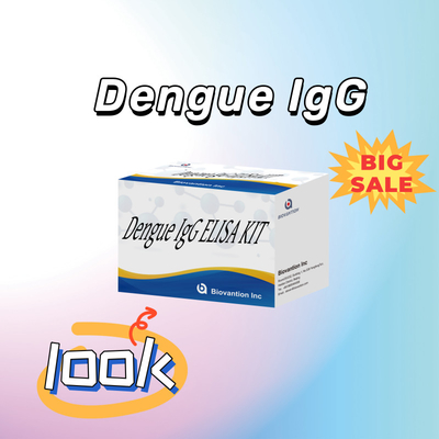 مجموعة اختبار الدينغو IgG Elisa عالية الأداء للحصول على نتائج حساسة ومحددة