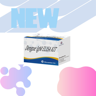 مجموعة اختبار الدينغوي IgM Elisa المبتكرة للفحص الدقيق للمرض والمراقبة في البيئات السريرية