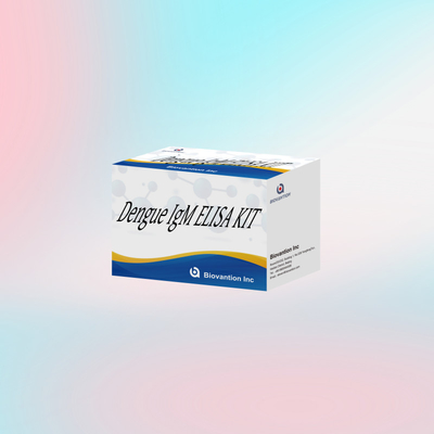 مجموعة اختبار الدينغوي IgM Elisa المبتكرة للفحص الدقيق للمرض والمراقبة في البيئات السريرية