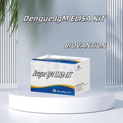 مجموعة اختبار الدينغوي IgM Elisa المبتكرة للفحص الدقيق للمرض والمراقبة في البيئات السريرية