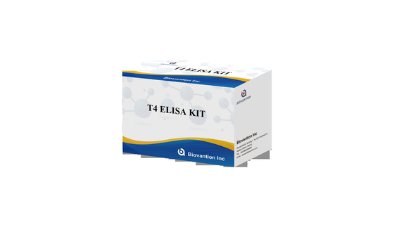 مجموعة اختبار T4 Elisa ذات الخصوصية العالية للكشف الدقيق عن المواد المستهدفة