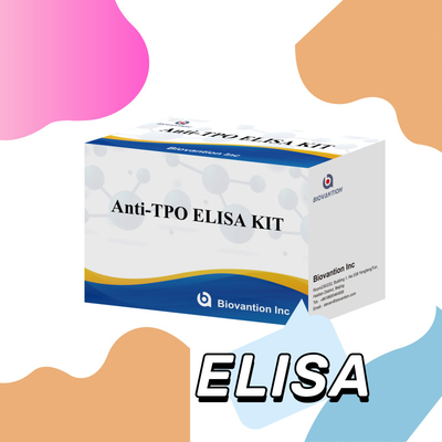 مجموعة اختبار TPO Elisa المريحة والدقيقة للكشف عن الأمراض ومراقبتها